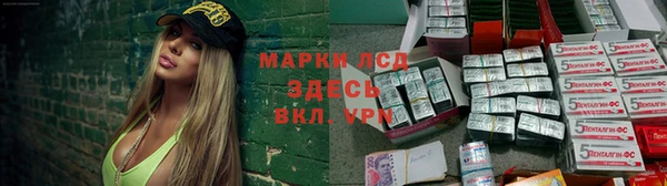 ГАЛЛЮЦИНОГЕННЫЕ ГРИБЫ Балахна
