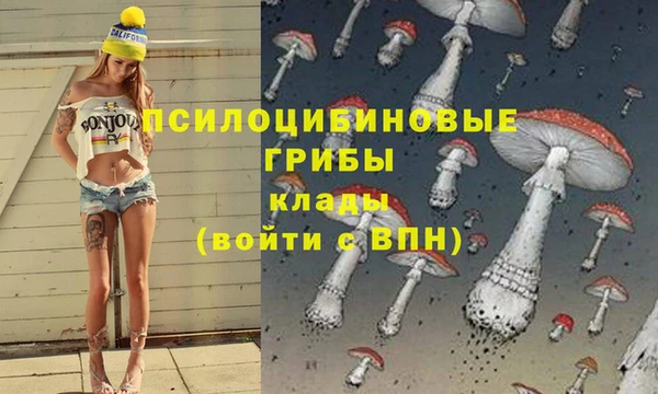 mdpv Баксан