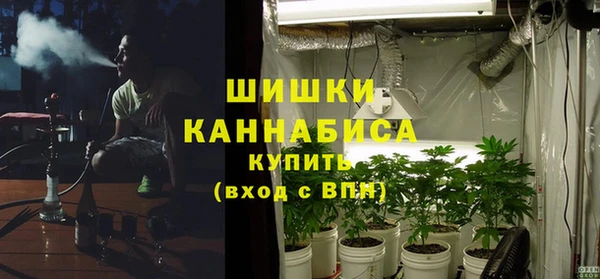 ГАЛЛЮЦИНОГЕННЫЕ ГРИБЫ Балахна
