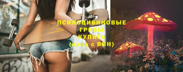 ГАЛЛЮЦИНОГЕННЫЕ ГРИБЫ Балахна
