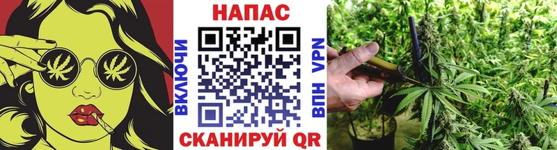 МАРИХУАНА Amnesia  Сковородино 